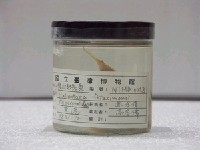 藏品(費式棘茄魚)的圖片